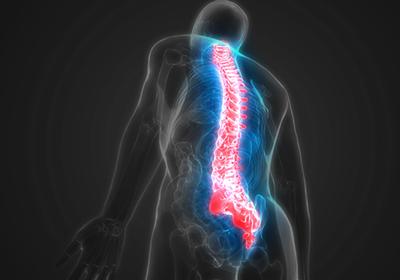 Back Pain Chiropractic Treatment